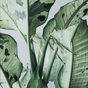 Meet your Posher, Ashli